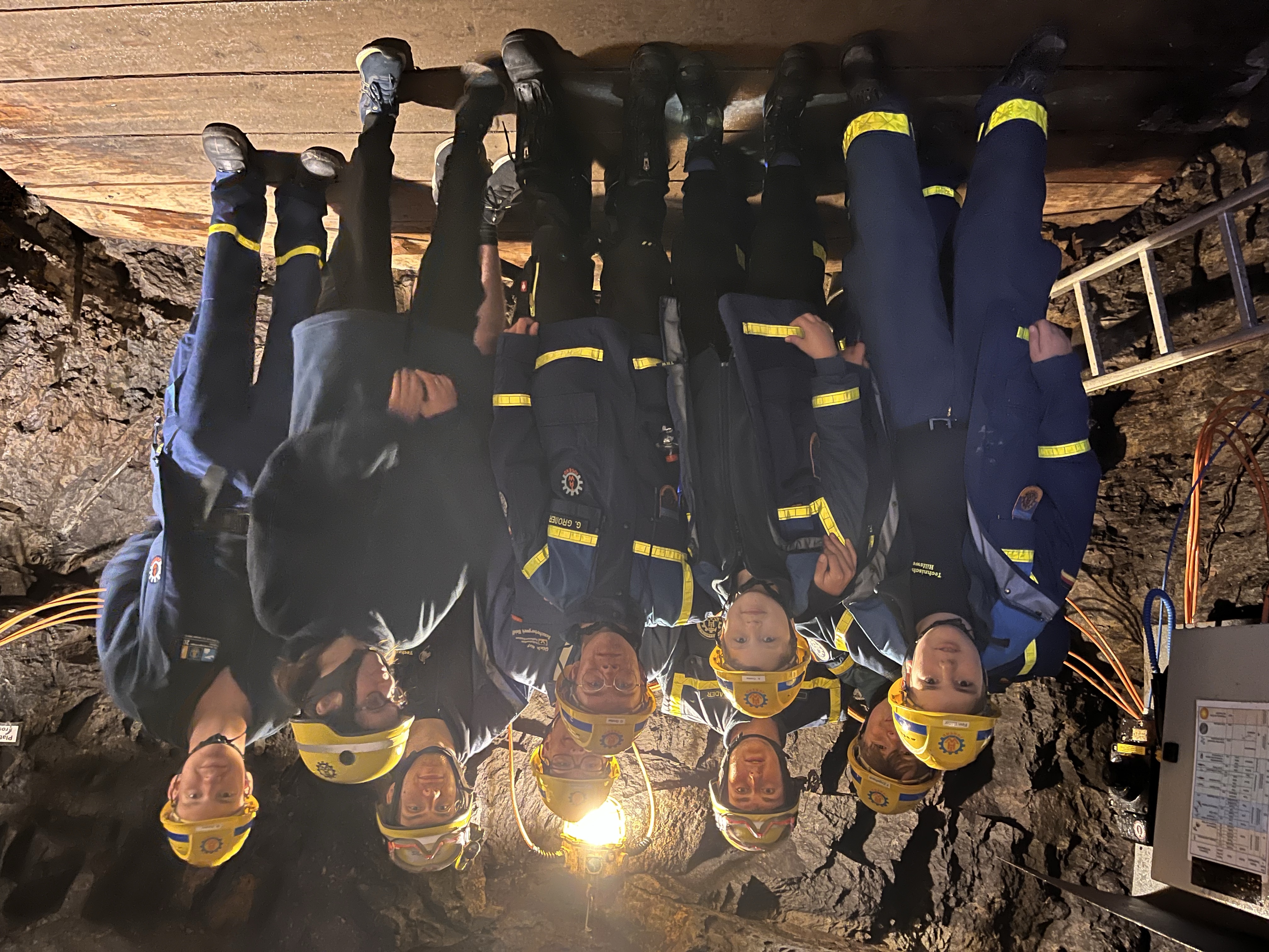 Christbaum sammeln 2025